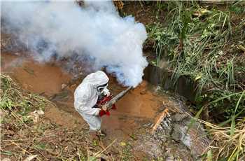 ?Dia D? contra a dengue.